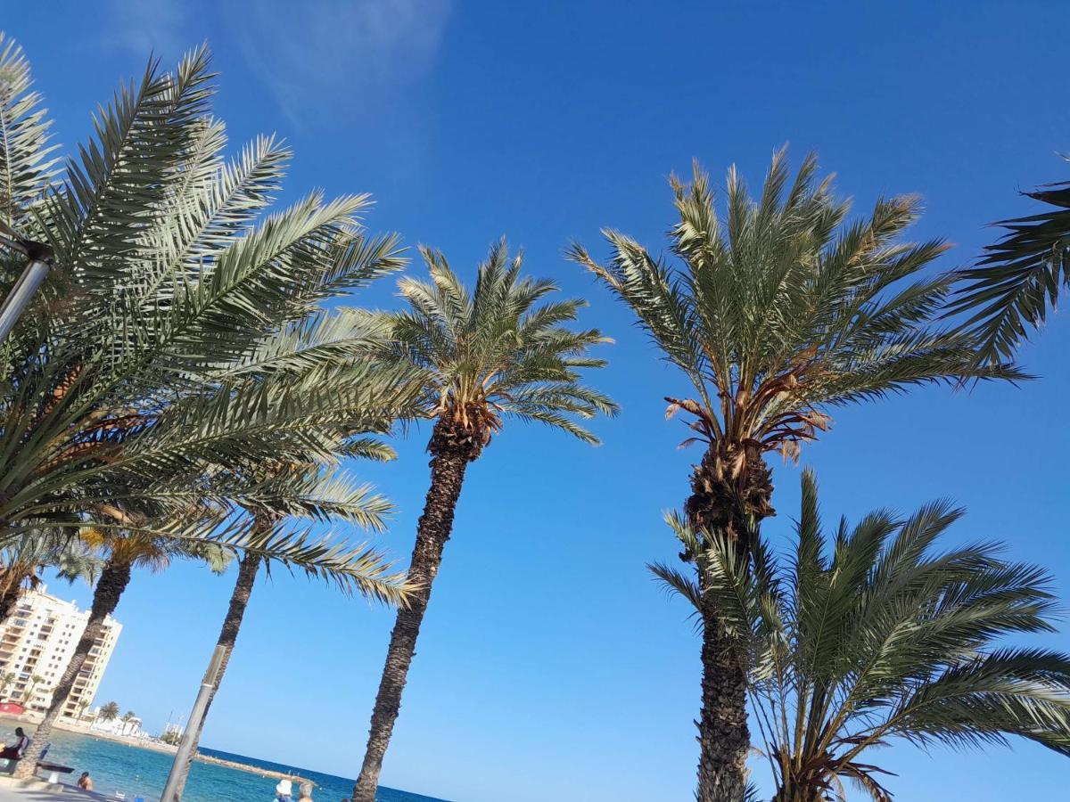 Stylowy Apartament Harmonia Playa Del Cura, Hiszpania Apartman Torrevieja Kültér fotó